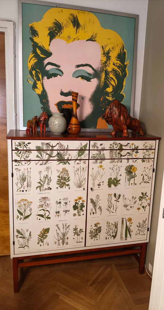 Swedish Cabinet With Nordens Flora Illustrations (Sweden, 1950s)